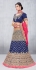 Party Wear Blue Lehenga 131