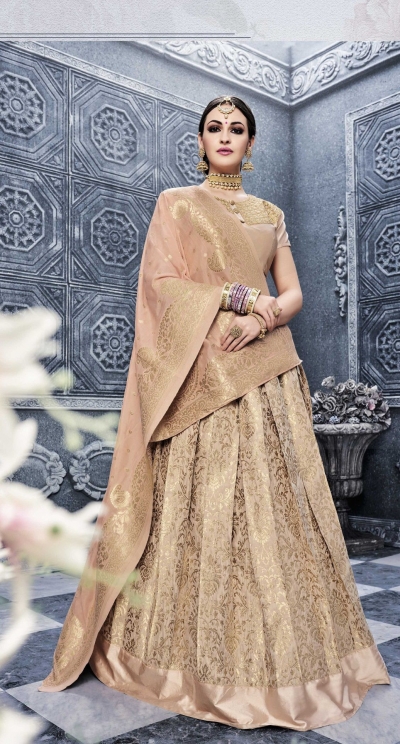 Party Wear Pure banarsi silk Biege Lehenga 25002