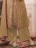 Ayesha Takia Beige color party wear salwar kameez