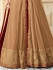 Kareena Kapoor brown georgette straight cut salwar kameez