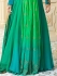 Kareena Kapoor green georgette anarkali