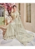 Beige Net Embroidered Partywear Saree 4108