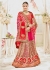 Pink Pure Georgette Net Bandhej Printed Bridal Saree 4111