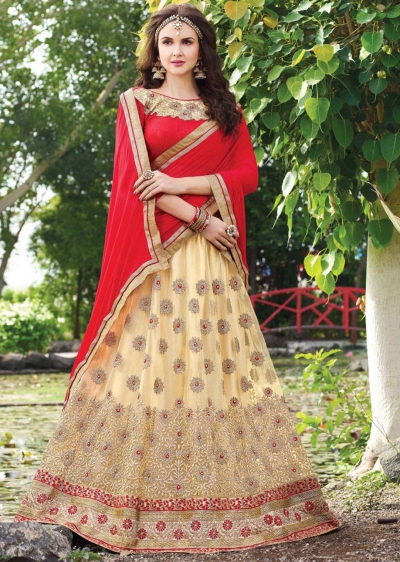 Beige net Embroidered Festive Lehenga choli 10449