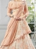 Party wear cream net lehenga 201