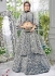 Party wear grey net a line lehenga 205