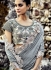 Grey color imported pallu and net wedding wear saree