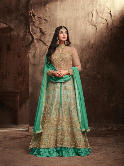 Sonal Chauhan Beige and Sea green Net party wear anarkali kameez