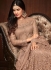 Bollywood Sonal Chauhan Beige net wedding anarkali