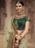 Light green Organza Indian wedding Saree