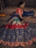 Navy blue banarasi  silk Indian wedding lehenga