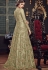 Light Green Net Embroidered Floor Length Anarkali Suit 5807B