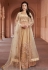 golden net indo western lehenga choli 1628