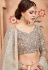 sky blue net circular lehenga choli 2001